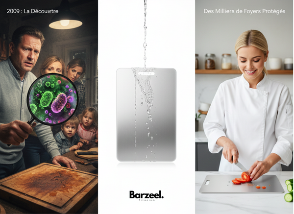 Famille cuisine Barzeel titane